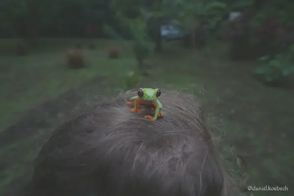 Foto vom 2. Juli 2018