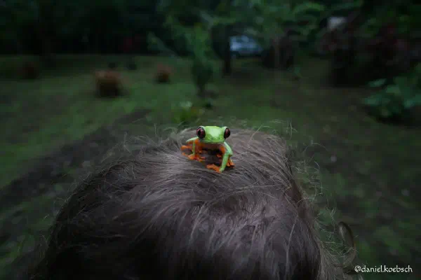 Foto vom 2. Juli 2018