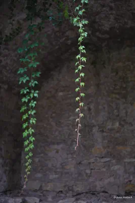 Foto vom 24. August 2020