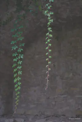 Foto vom 24. August 2020