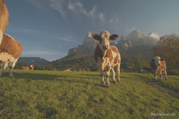 Foto vom 22. Oktober 2020