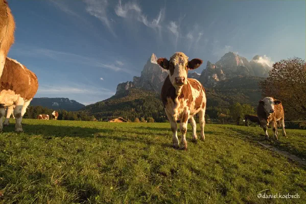 Foto vom 22. Oktober 2020