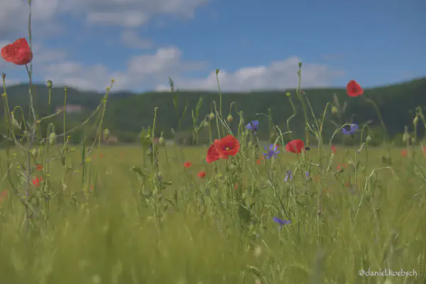 Foto vom 2. Juni 2022