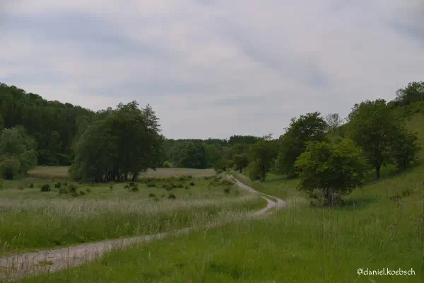 Foto vom 3. Juni 2022