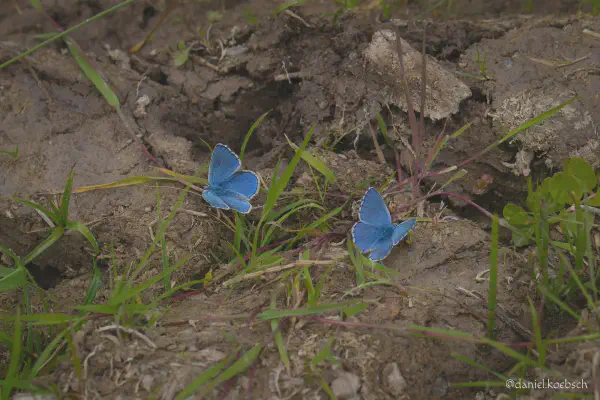 Foto vom 3. Juni 2022