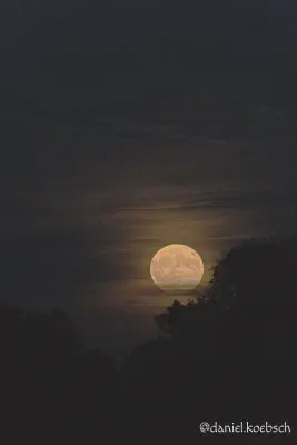 Foto vom 14. Juni 2022