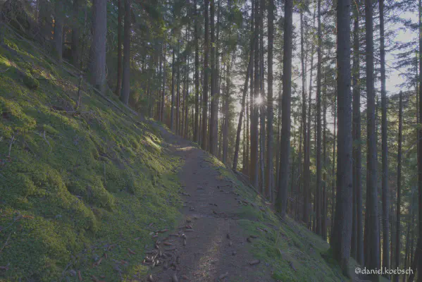 Foto vom 19. Oktober 2022