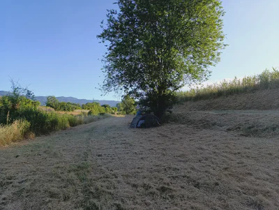 Morgenstimmung am Fluß