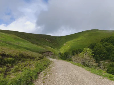 Abwechslungsreiche Abfahrt: Von karger Landschaft… 