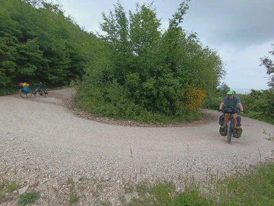 Aufstieg auf der ruhigen, waldigen Strada Provinciale 157