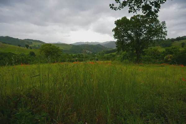 FOTO: 09:32 / Ort: ca. 43.6871, 12.3688