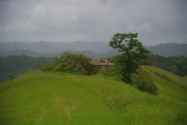 FOTO: 10:55 / Kein passender GPS-Punkt gefunden
