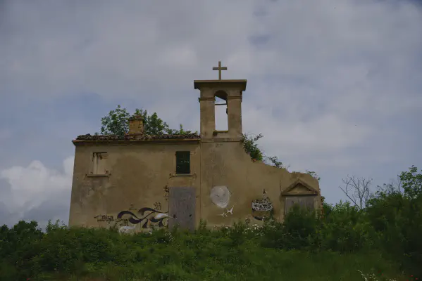 FOTO: 11:04 / Ort: ca. 43.6474, 12.3383