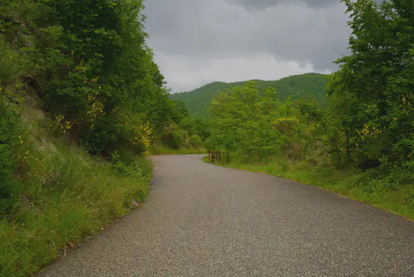 FOTO: 15:36 / Ort: ca. 43.4137, 12.2335