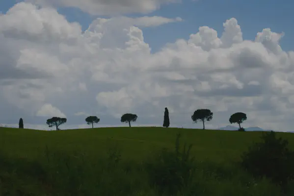 FOTO: 14:35 / Ort: ca. 43.0913, 11.7813