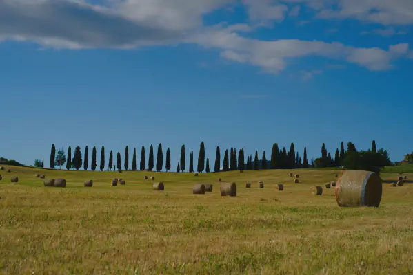 FOTO: 18:32 / Kein passender GPS-Punkt gefunden