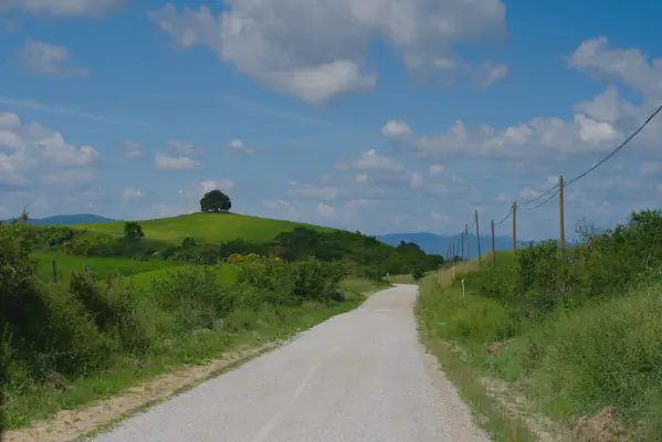 FOTO: 11:09 / Ort: ca. 43.1511, 11.4302