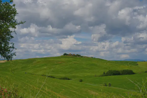 FOTO: 14:58 / Ort: ca. 43.3191, 11.3313