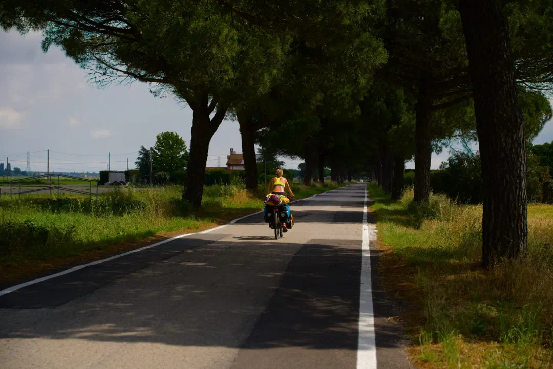 Radfahrerin mit Gepäck auf einer Straße unter Pinien