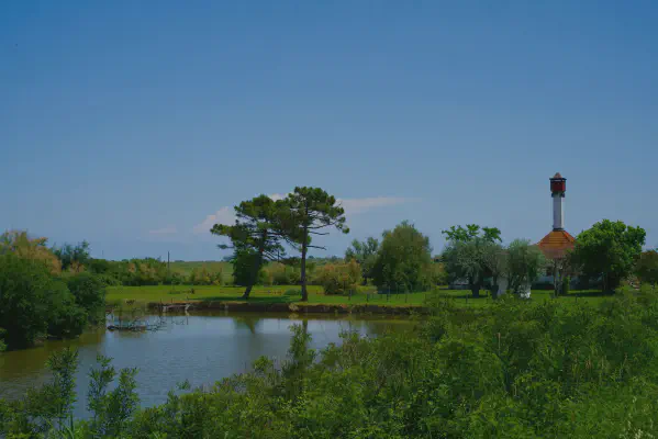 FOTO: 13:30 / Ort: ca. 45.1115, 12.2533