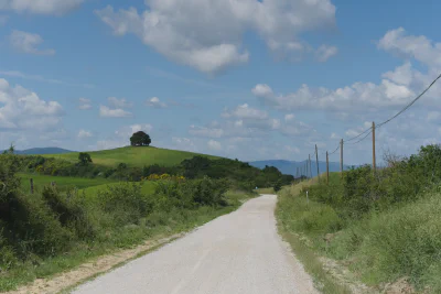Weiter durch eine zauberhafte Landschaft, vorbei an der 'Via Francigena Gravel' Schildern