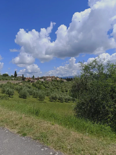 Der Blick auf den Olivenhain und das Dorf San Sano.