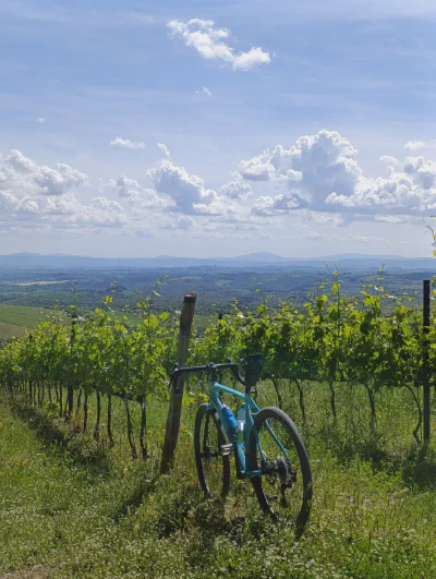 Das Fahrrad im Weinberg mit fantastischer Aussicht, aufgenommen in den Weinbergen nahe dem Agriturismo »Poggio Bonelli«.