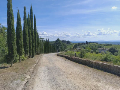 Die beeindruckende Zypressenallee auf einer Schotterstraße in der berühmten Landschaft der Crete Senesi, südlich von Siena.