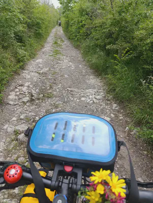 FOTO: 14:46 / Ort: ca. 43.8475, 12.3737