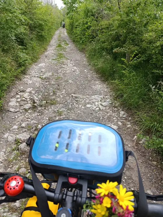 14:46 Uhr, ca. 43.8475, 12.3737