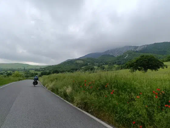 17:24 Uhr