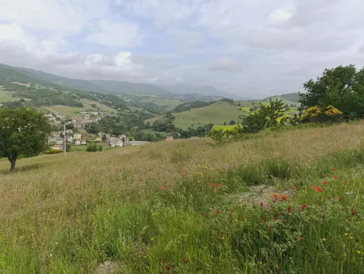 FOTO: 10:18 / Ort: ca. 43.6493, 12.3495