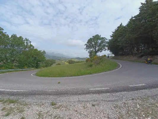 FOTO: 10:24 / Ort: ca. 43.6478, 12.3403