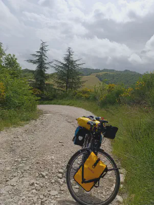 FOTO: 10:52 / Ort: ca. 43.6474, 12.3381