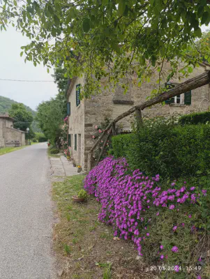 FOTO: 15:49 / Ort: ca. 43.3703, 12.2380