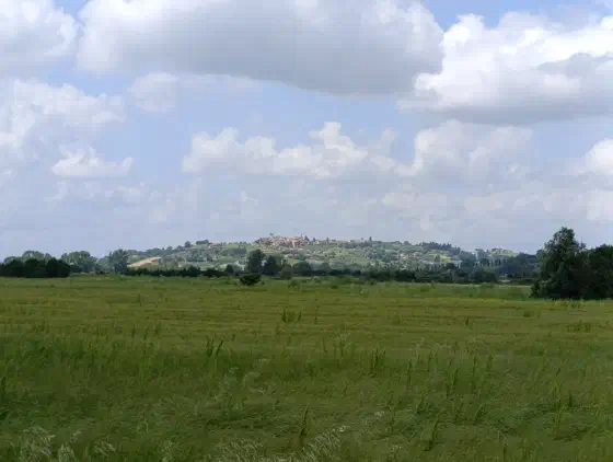 14:42 Uhr