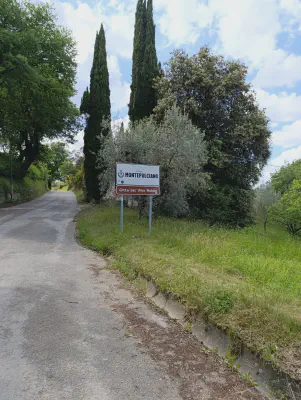 FOTO: 15:51 / Ort: ca. 43.1132, 11.7512