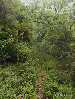 FOTO: 09:59 / Ort: ca. 43.1624, 12.0193