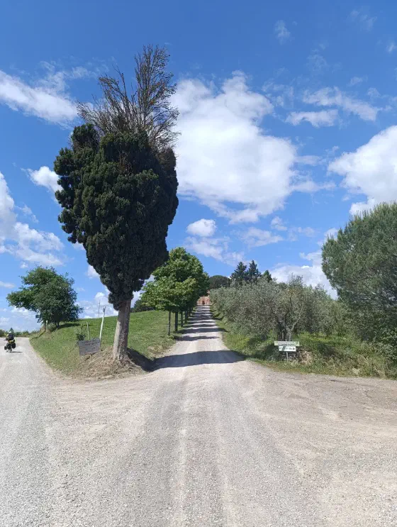 11:26 Uhr, ca. 43.1477, 11.4101