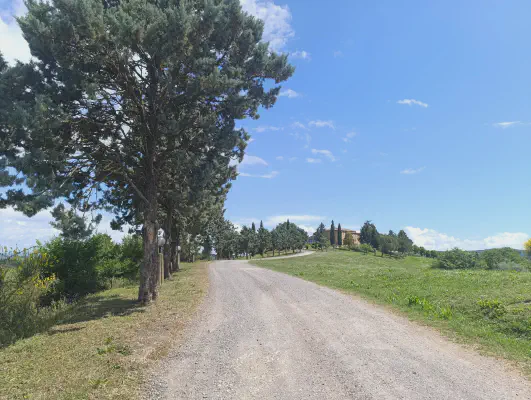 FOTO: 11:28 / Ort: ca. 43.1486, 11.4069