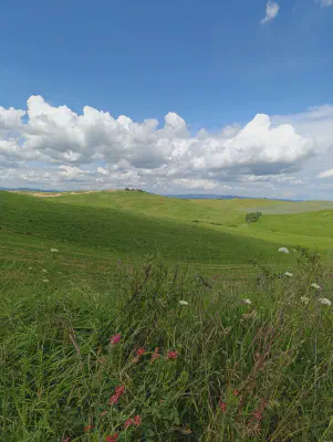 FOTO: 15:02 / Ort: ca. 43.3225, 11.3288