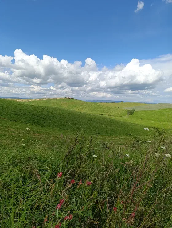 15:02 Uhr, ca. 43.3225, 11.3288
