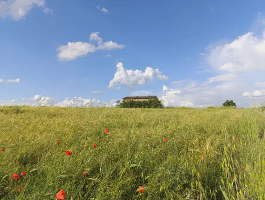 FOTO: 18:14 / Kein passender GPS-Punkt gefunden
