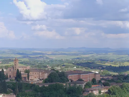 FOTO: 17:38 / Ort: ca. 43.3162, 11.3296