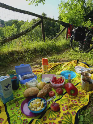 FOTO: 08:17 / Ort: ca. 43.3473, 11.3090