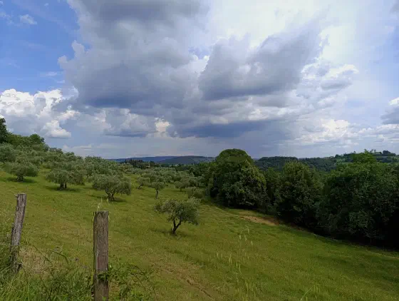 16:13 Uhr, ca. 43.4954, 11.1113