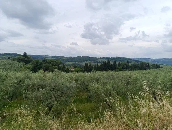 12:38 Uhr, ca. 43.6937, 11.1484