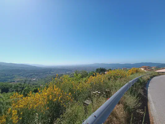 FOTO: 09:51 / Ort: ca. 44.0101, 10.8126