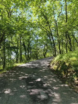 FOTO: 10:03 / Ort: ca. 44.0071, 10.8042