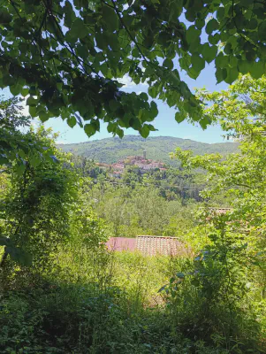 FOTO: 13:08 / Ort: ca. 44.0983, 10.7522